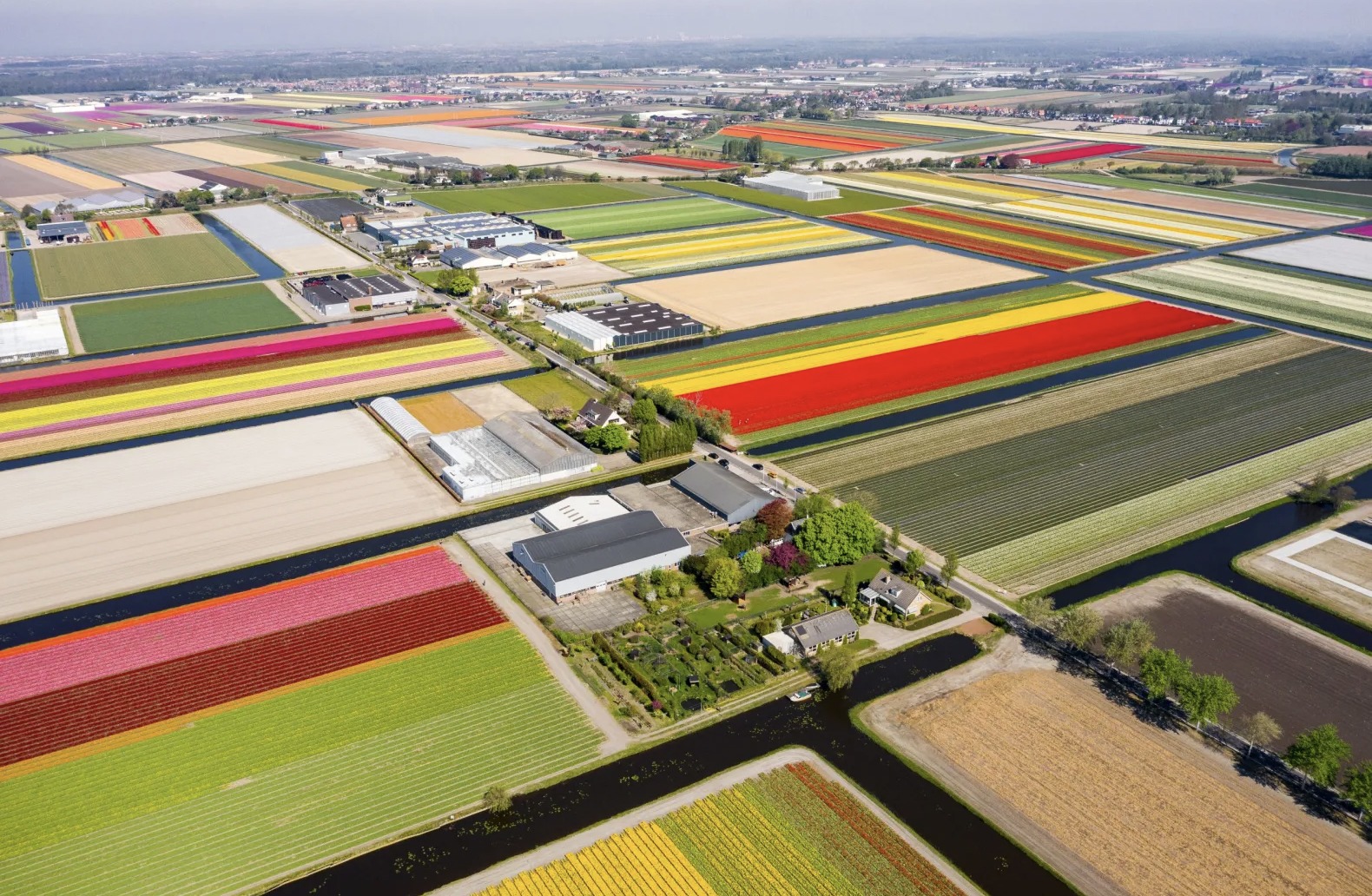 With a Helicopter Flight near Keukenhof Gardens you can truly enjoy the spectacular view over the tulip fields in Holland! 🚁🌷 The Helicopter Tour is exclusively available during only 7 flying days in April 2023.

Book your helicopter tickets here:
> https://tulipfestivalamsterdam.com/keukenhof-flower-fields-helicopter-tour/

#keukenhof #helicopter #tulips #flowerfields #colour #hollandtrip #amazingplaces